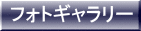 フォトギャラリー 